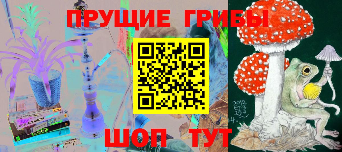 Учалы  Псилоцибиновые грибы Psilocybine cubensis  Вход с VPN 